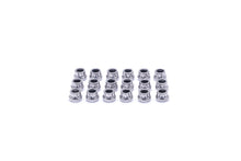 Load image into Gallery viewer, WMS Titanium Header Bolt Kit