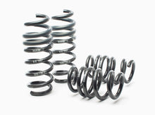Load image into Gallery viewer, H&amp;R LOWRING SPRINGS - 2008-15 Audi R8/R8 Cabrio V8/V10 Sport Spring